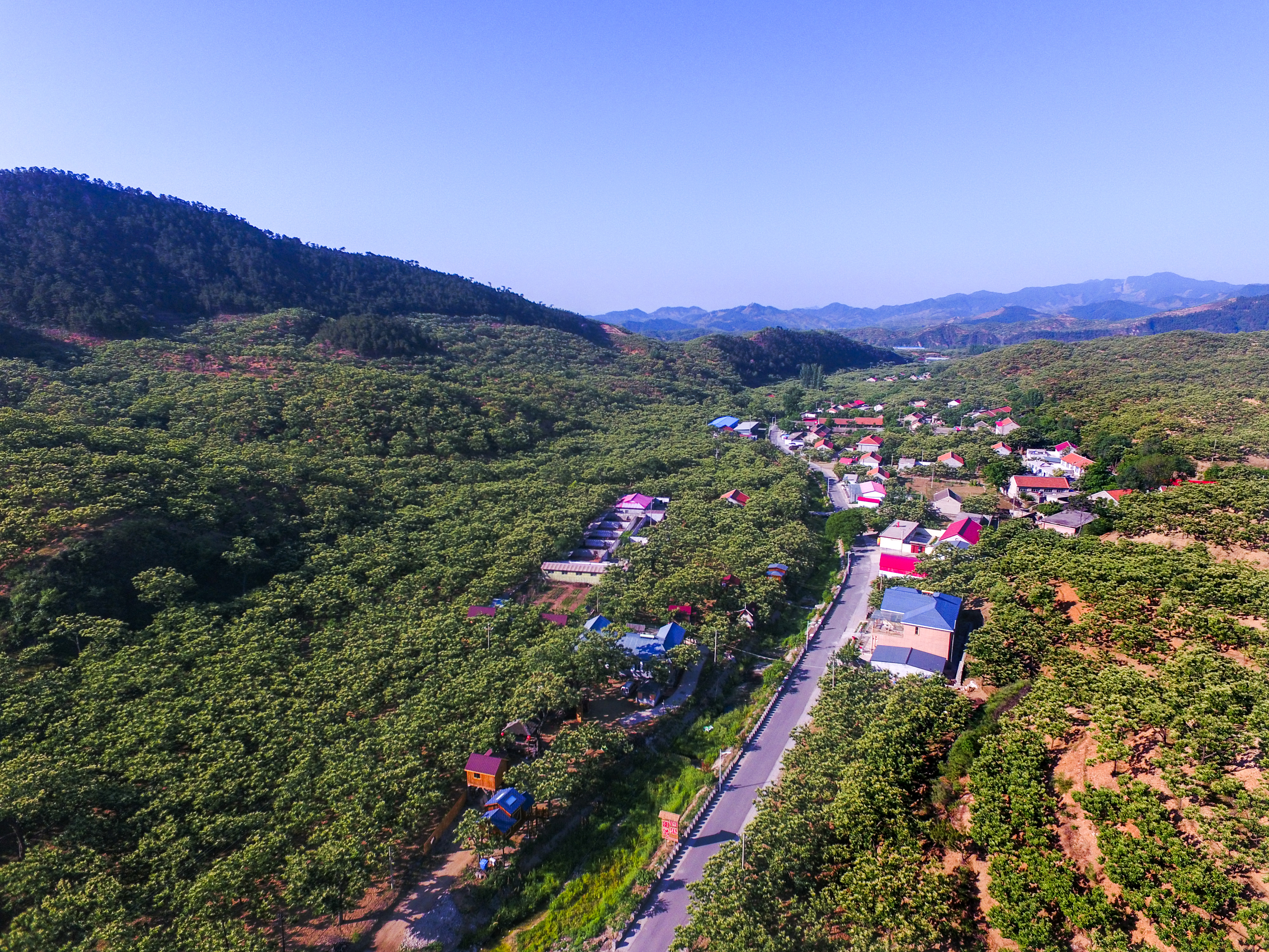 北杨家峪村